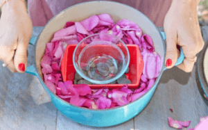 chưng cất hoa hồng