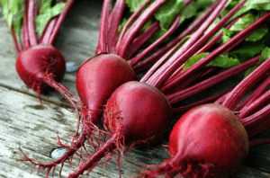 củ cải đường