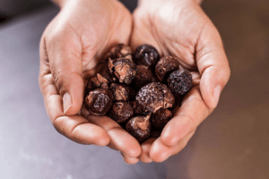 quả bồ hòn công cụng và cách sử dụng