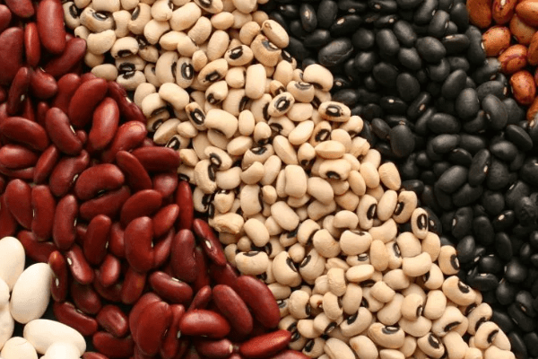 đậu các loại