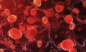 giảm lượng đường trong máu