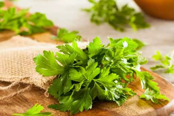 rau mùi tây