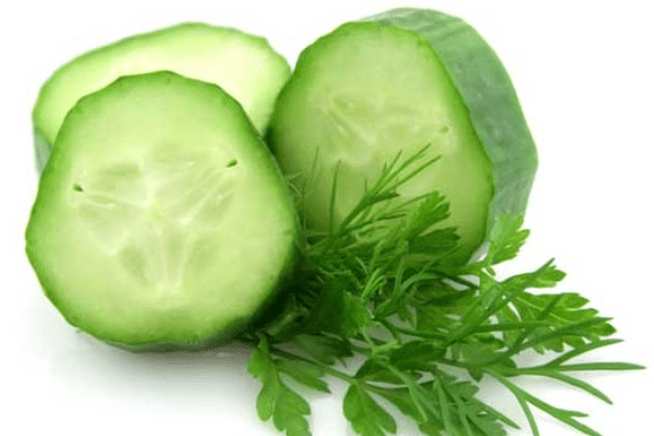 dưa leo