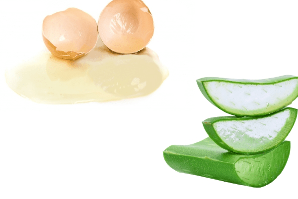 lòng trắng trứng nha đam