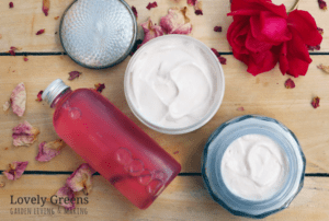 sữa chua cánh hoa hồng 