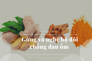 gừng nghệ bộ đôi chống đau ôm