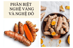 phân biệt tinh bột nghệ đỏ và tinh bột nghệ vàng