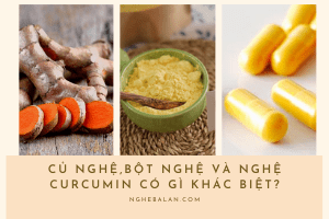 củ nghệ bột nghệ curcumin có gì khác biệt