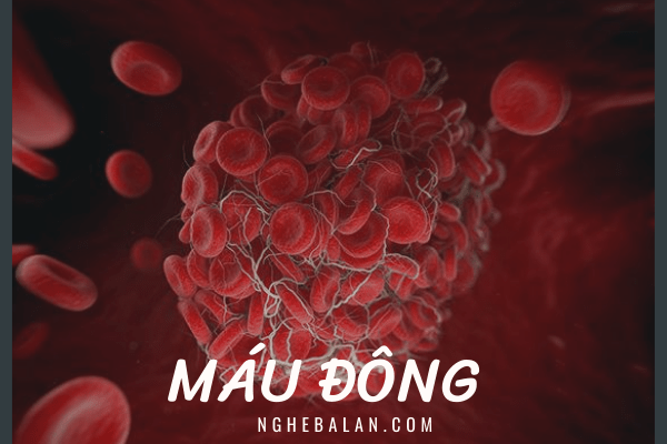 máu đông