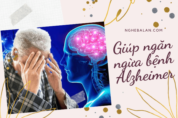giúp ngăn ngừa bệnh alzheimer