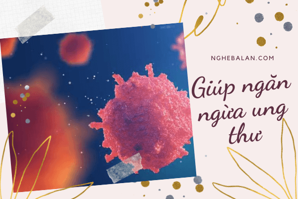 giúp ngăn ngừa ung thư
